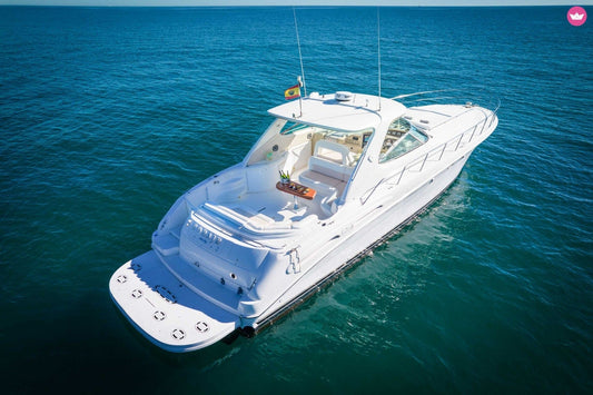 SeaRay Sundancer 54 “Coraje”