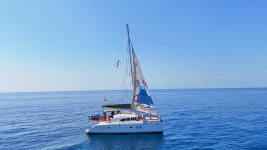 Catamaran Lagoon 380 “Daria”